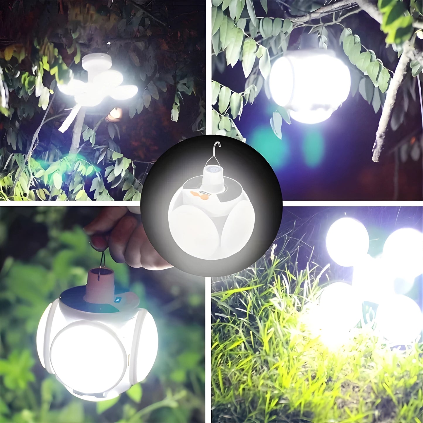 Collage of LED light bulb in various settings with greenery.