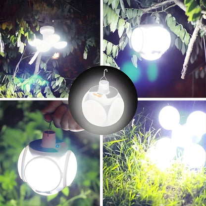 Collage of LED light bulb in various settings with greenery.